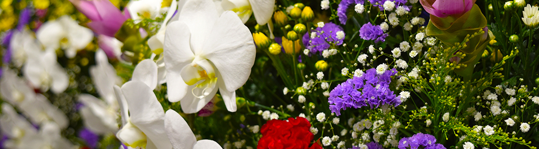 葬儀場のお花のイメージ写真